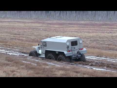 Видео: ХИЩНИК против ХИЩНИКА - 2 (сравнение разных шин)