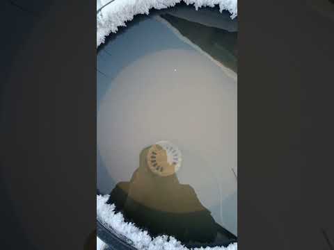 Видео: Тёплая поилка за 1 минуту, результат эксперимента