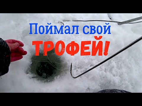 Видео: Самая крупная ЩУКА в моей жизни! Это мой ТРОФЕЙ!