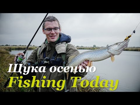 Видео: Ловля щуки осенью. Топовые воблеры и железо - Fishing Today