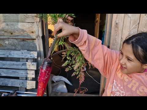 Видео: Сентябрь бабье лето