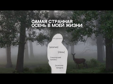 Видео: привет, я хочу выговориться, эта осень далась мне максимально тяжело|работа, сомнения итд.