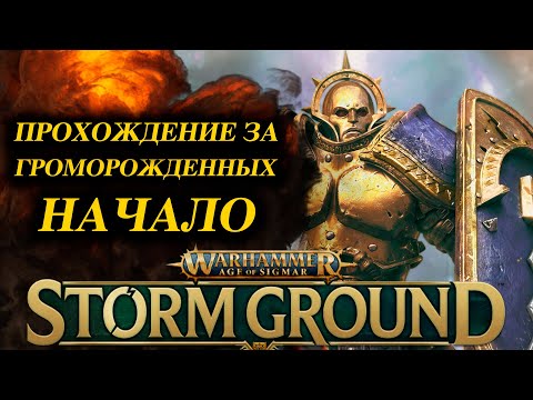 Видео: Прохождение Warhammer Age of Sigmar - Storm Ground часть 1: Первый взгляд