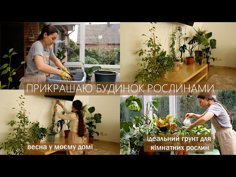 Видео: 🌿Пересадка рослин та створення зеленого куточка: готуємо грунт і декоруємо дім🌿