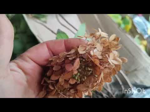 Видео: Коробка счастья прикатила 🤗