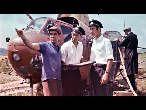 Видео: Картофельная коровка, 1967