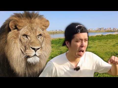 Видео: Легкий японский - Животное【Начинающий】