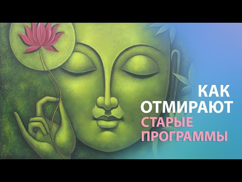 Видео: КАК отмирают СТАРЫЕ ПРОГРАММЫ. Феномен частичной "ментальной" смерти.