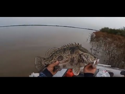 Видео: Ловим Ауху на резинку. Амурская Венеция