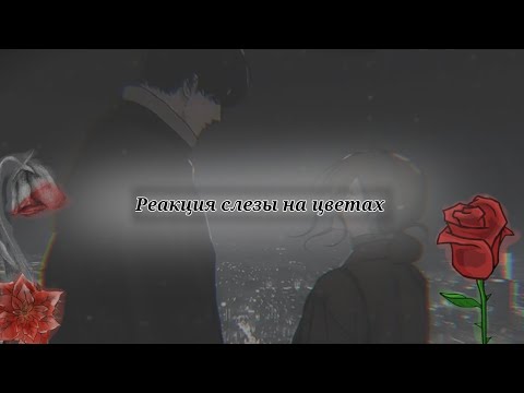 Видео: . •Реакция героев манхвы слезы на цветах на самих себя. •(1 часть) |УВЯДШИЕ ЦВЕТЫ|