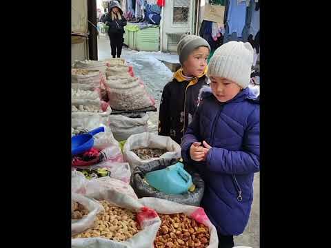 Видео: Окуу керемет дообоору.«Окуйбуз,изилдейбиз,жаратабыз!»Сут азыгынан жасалган курурт.
