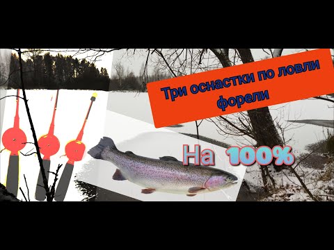 Видео: Зимняя удочка три варианта оснастки по ловли форели со льда.