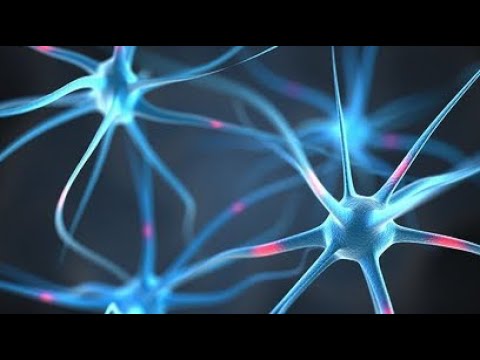 Видео: Глиоз головного мозга деген эмне? Жазылуу учун номер 0702887703; Бишкек шаары Калык Акиев 111