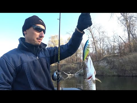 Видео: ЛОВЛЯ ЩУКИ НА ДЖЕРК ОСЕНЬЮ