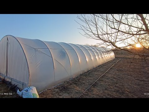 Видео: Наші балагани# балаган# теплиця# тунелі