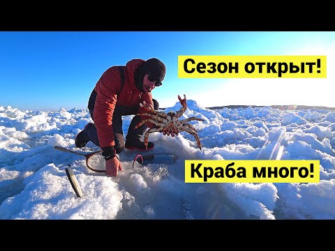 Видео: Краба много! // Lot of crab! (Eng Subs)