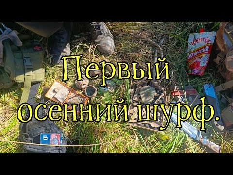 Видео: Первый осенний шурф!