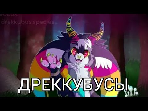Видео: Кто такие ФУРРИ ДРЕККУБУСЫ? 