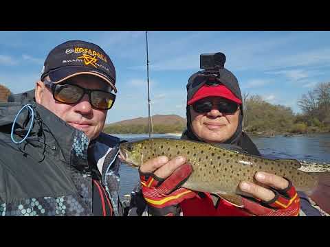 Видео: Рыбалка в верховьях Уссури сентябрь 2025