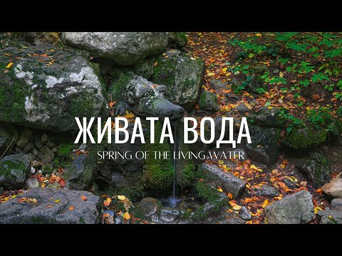 Видео: Извор "Живата вода". с.Боснек (The spring with the dragon's head hidden in the Vitosha mountain.)