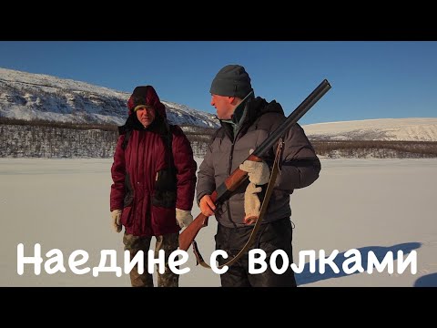 Видео: Наедине с волками. Плато Путорана. Выживание в Сибири. / ALONE WITH WOLVES