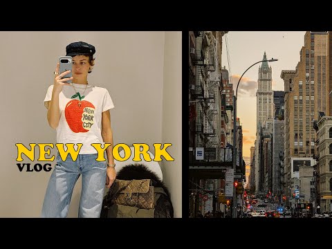 Видео: НЬЮ-ЙОРКСКИЙ ВЛОГ 🍎🌆 | VANELLIMELLI