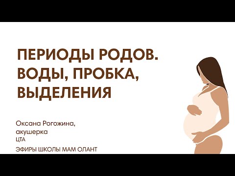 Видео: ПЕРИОДЫ РОДОВ. ВОДЫ, ПРОБКА, ВЫДЕЛЕНИЯ