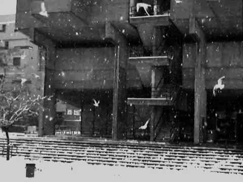 Видео: Земфира - Ощущенья