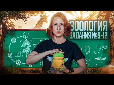 Видео: Зоология | Сборник Рохлова | Задания с рисунками | ЕГЭ-2025 по биологии
