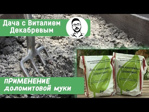 Видео: ДОЛОМИТОВАЯ МУКА. КАК И ЗАЧЕМ ВНОСИТЬ ЕЕ В ПОЧВУ?