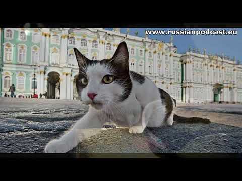 Видео: Эрмитажные коты - Русский Подкаст N°336 Slow Russian