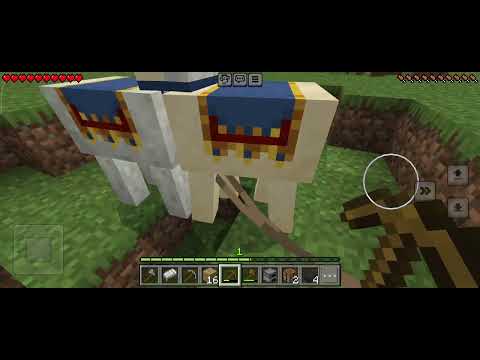 Видео: 9 ноября 2025 г.