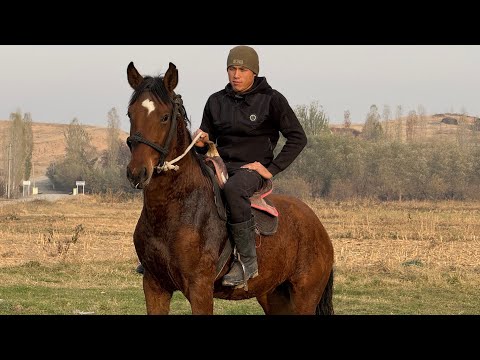 Видео: 1.60 КУНАН ЧЫКТЫ 🤯#байтв 