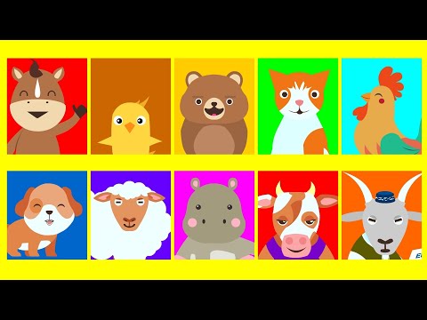 Видео: Мультик | Казакша мультфильм