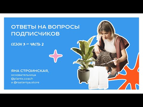 Видео: Ответы на вопросы подписчиков, сезон 3, часть 2