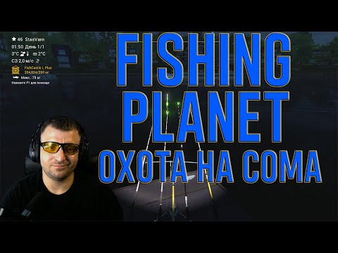Видео: 🌌 Ночная Охота на Сома | Fishing Planet