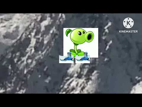 Видео: Растение катаются