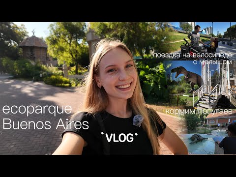 Видео: 🦚 Гуляем по Экопарку Буэнос-Айреса: павлины, мара и жирафы! | VLOG 🎥