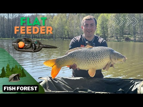 Видео: ЯК ЛОВИТИ НА ФЛЕТ-ФІДЕР? Насадки, Монтажі, Прикормка, ТАКТИКА?