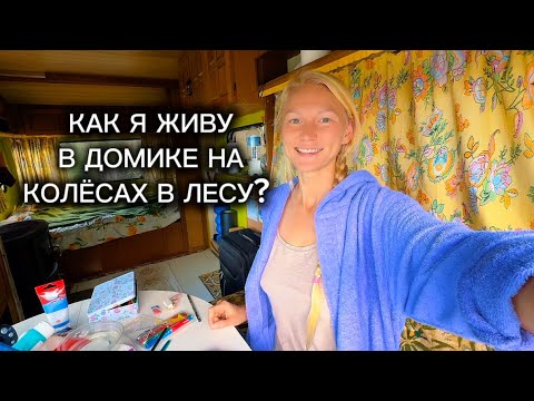 Видео: От вдохновения до ремонта. Творчество. Котята. Жизнь в португальском лесу. 9 серия