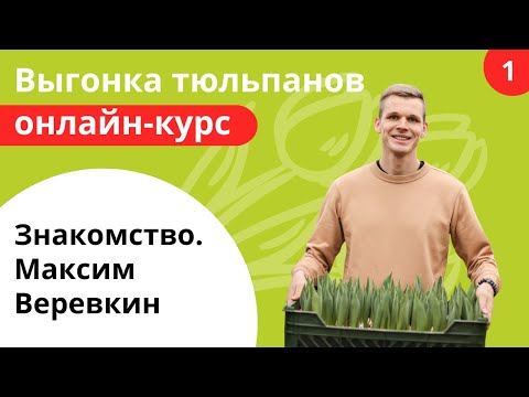 Видео: 1  Знакомство