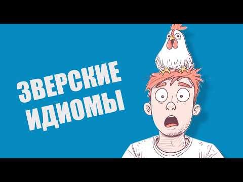 Видео: Разбираем немецкие крылатые выражения на тему животных