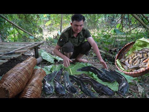 Видео: Отличная рыбалка на еду в дни наводнения. Роберт | Жизнь в зеленом лесу