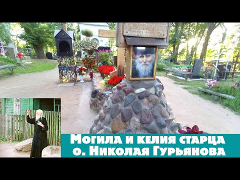 Видео: Записки на могиле, а также  сад и келия старца о. Николая Гурьянова. Рябина из Подольска. Котята.
