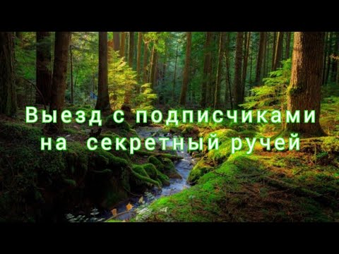 Видео: Выезд с подписчиками на секретный ручей. Departure with subscribers to the golden stream