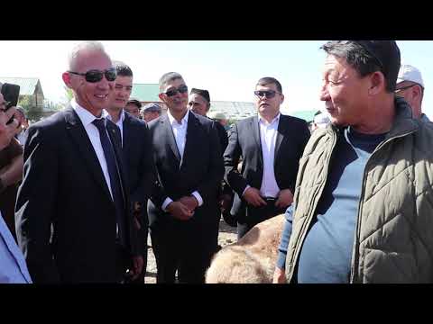 Видео: Аксы району.Кербен шаары. Арашан кой жарманкеси.24.09.2025.