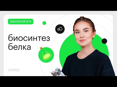 Видео: Основы биосинтеза белка для ЕГЭ
