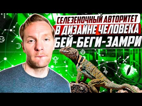 Видео: Селезеночный авторитет | Принятие решения через телесную осознанность | Дизайн Человека