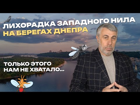 Видео: Лихорадка Западного Нила на берегах Днепра