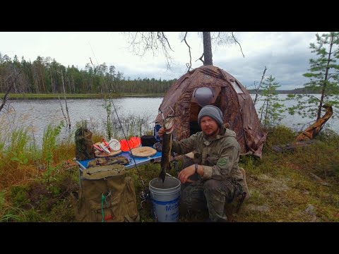 Видео: ОСТАВИЛ ПОСТАВУШКИ НА НОЧЬ И ОБАЛДЕЛ. КЛЁВАЯ РЫБАЛКА НА СЕВЕРЕ. ПОЙМАЛ ТРОФЕЕВ НА КРУЖКИ И ЖЕРЛИЦЫ